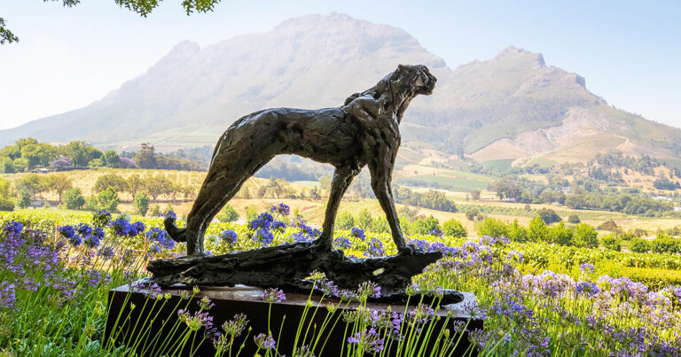 delaire graff estate dylan lewis cheetah sculpture