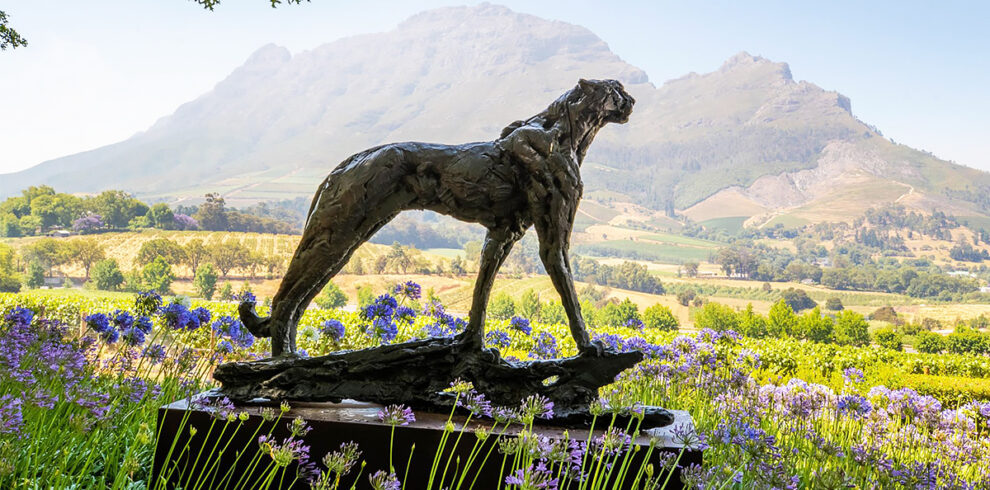 delaire graff estate dylan lewis cheetah sculpture