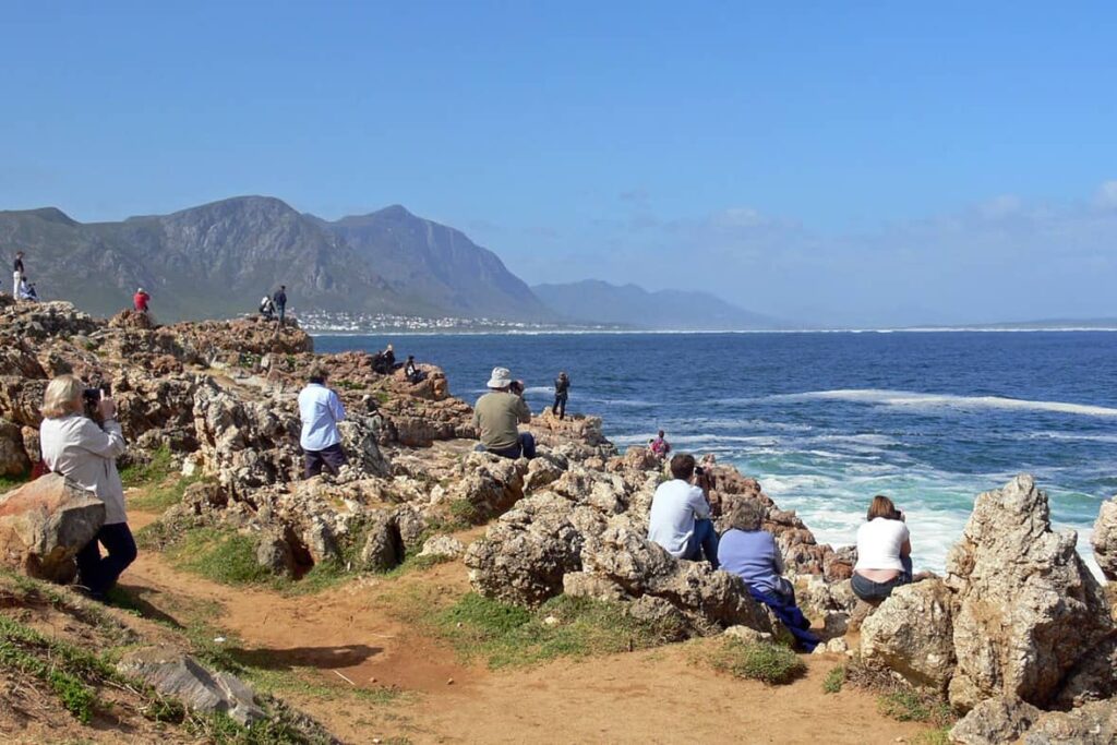 hermanus