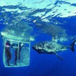 1440135596744 150x150