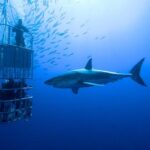 1579395786282 640x640 1 150x150