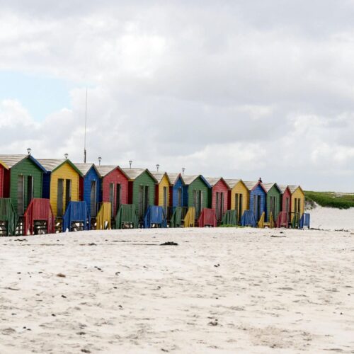 Full-Day Private: The Best of Cape Town in One Day Tour IMG 20250316 WA0068 2 500x500