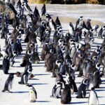 IMG 20250316 WA0082 1 150x150