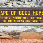 Istockphoto 183414354 612x612 3 150x150