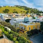 Pexels Philippe Alamazani 508356 17603974 1 150x150