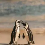 Pexels Taryn Elliott 9085058 2 150x150