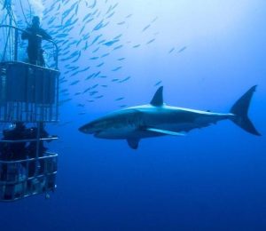 1579395786282 640x640