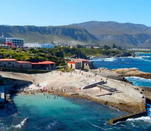 from cape town whale watching tour in hermanus and gansbaai 2562234