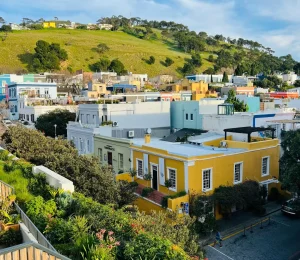 pexels philippe alamazani 508356 17603974