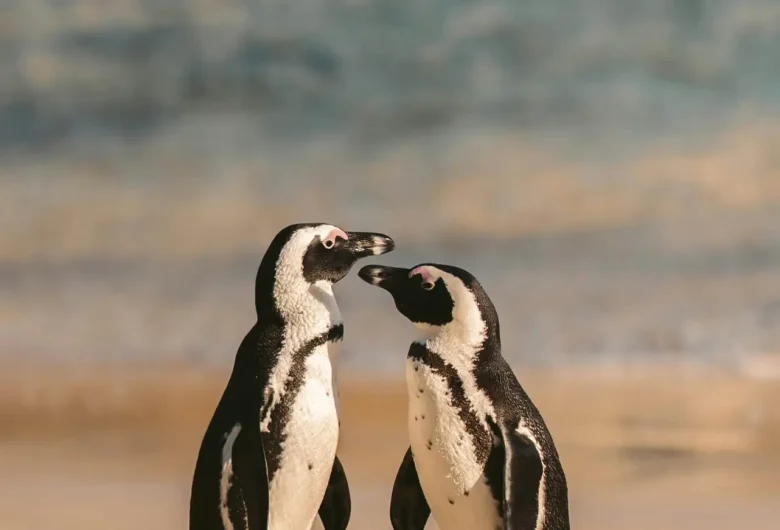 pexels taryn elliott 9085058